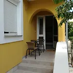 Lili Zadar